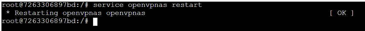 OpenVPN service restart